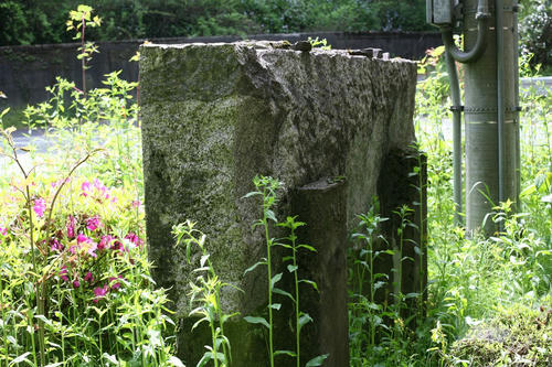 20110304-04.JPG