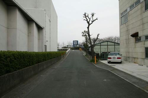 20110402-16.JPG