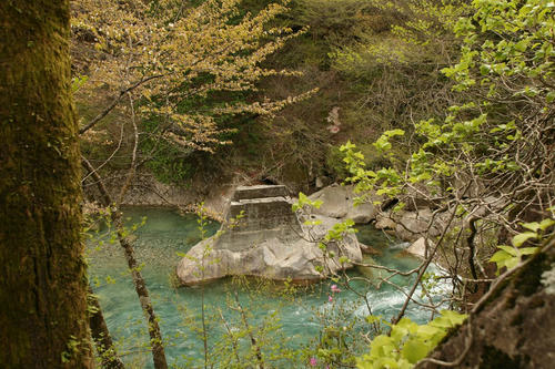 20110506-10.JPG