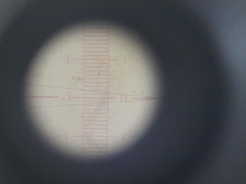 20110527_009.JPG