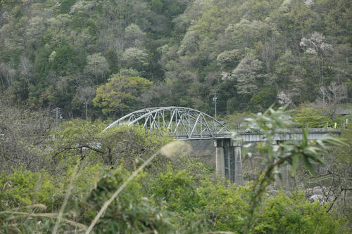 20110622_000.JPG