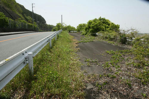 20110625.jpg