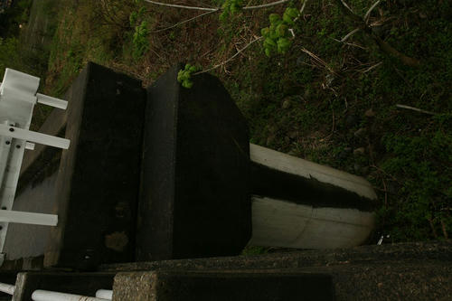 20110627_009.JPG
