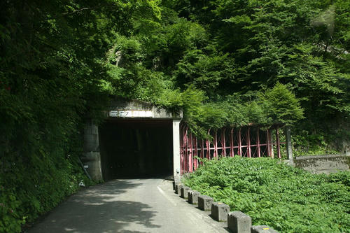 20110816-4.JPG