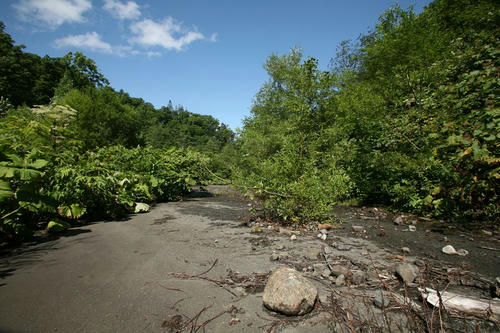 20110831_000.JPG