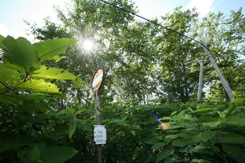 20110831_007.JPG