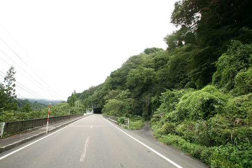 20111103-1.JPG