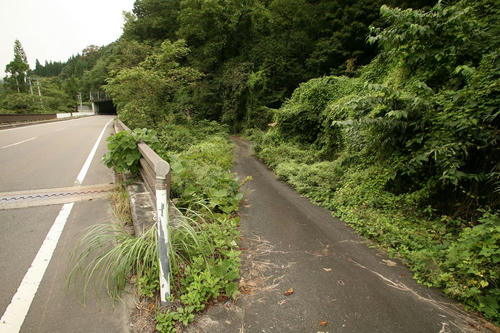 20111103-2.JPG