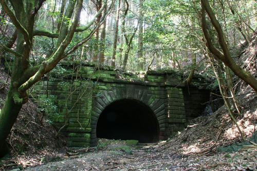 20111121-1.jpg