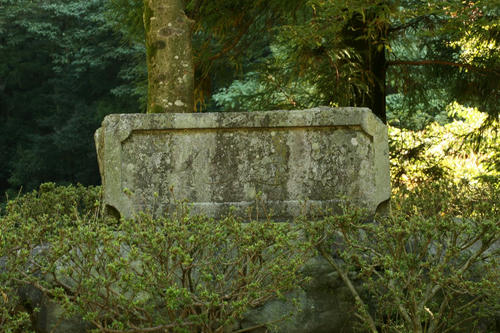 20111124_009.JPG