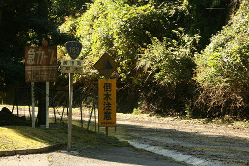 20111124_010.JPG