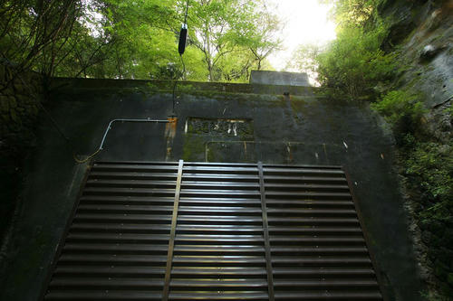 20111124_015.JPG