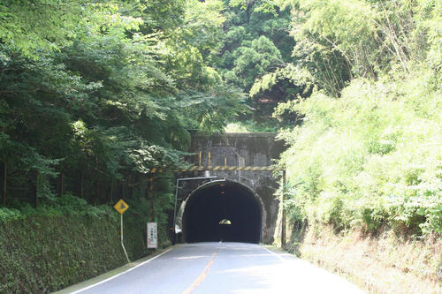 20111125-999.jpg