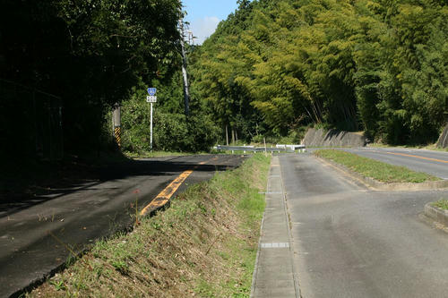 20111127_007.JPG