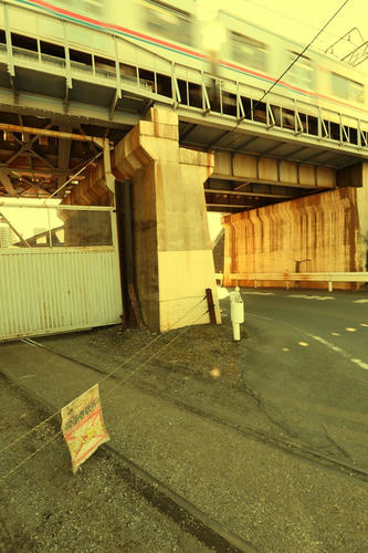 20120221_001.JPG
