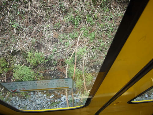 20120331_008.JPG