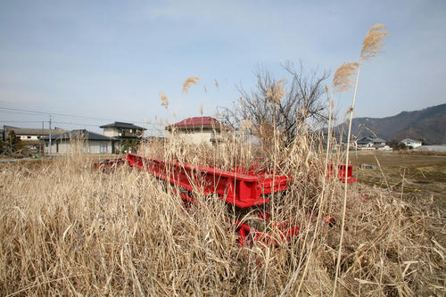 20120409_002.JPG