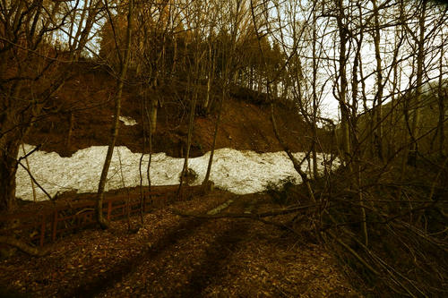 20120511_002.JPG
