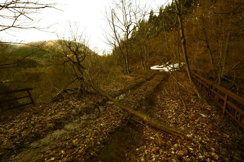 20120511_005.JPG