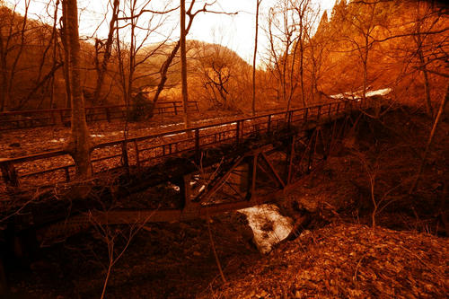 20120511_003.JPG