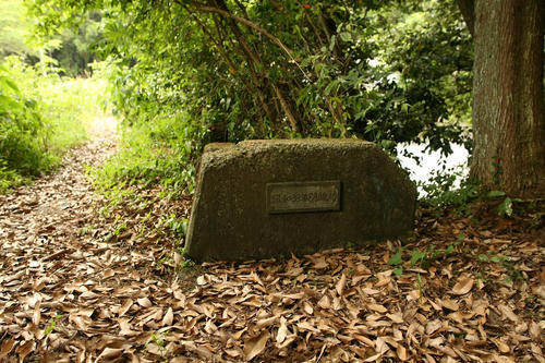 20120528_003.JPG