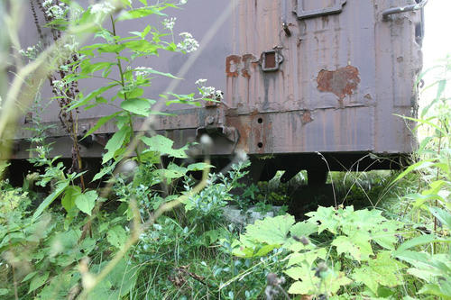 20120927a_004.JPG