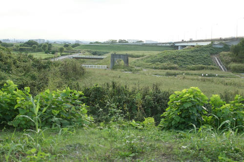20121029_003.JPG