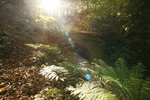 20121102_005.JPG