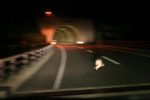 20121209.jpg
