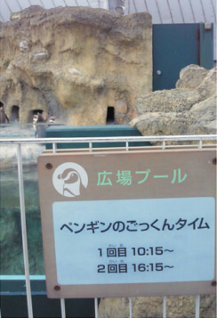 ツウにはこの写真だけで、何処水族館か判るんじゃろ