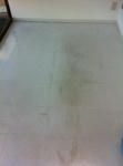 b6879f89.jpg