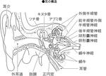 0447a.jpg