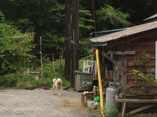 20080607_07.jpg