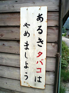 20080607_11.jpg