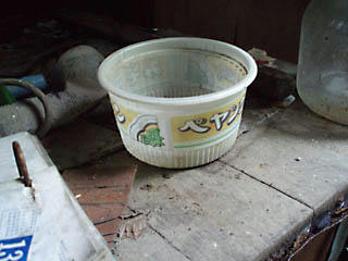 20080607_26.jpg