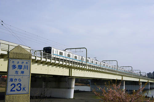 小田急と多摩川