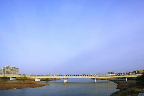 小田急と多摩川2