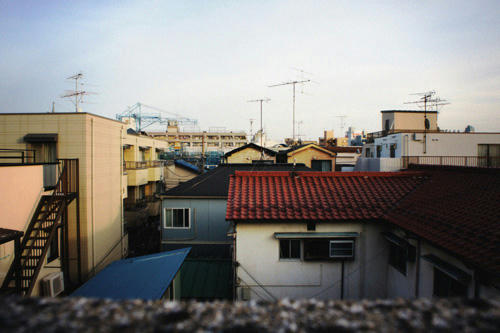 ジ・アザー・サイド・オブ・ライフ