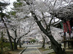 ryuhonji.JPG