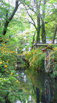 200805010718000.jpg