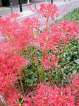 DSCN0733.JPG