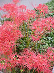 DSCN0735.JPG