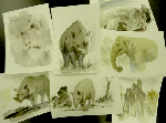 ueno06.gif