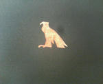 200708241259000.jpg