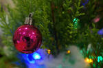 Xmastree.jpg