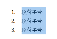 段落番号をふる