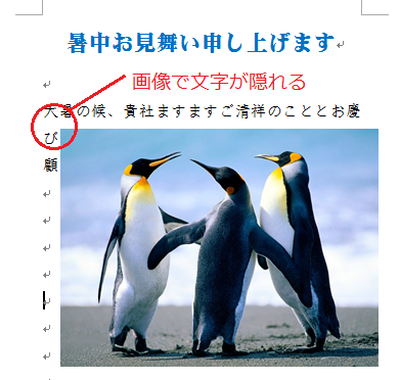 前面画像