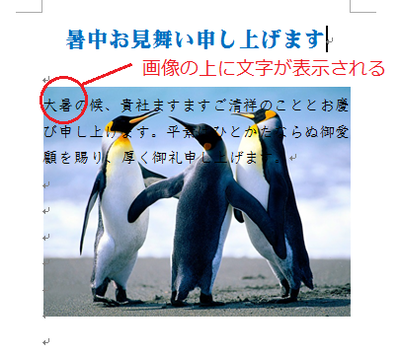 背面画像