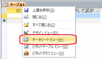 データシートビュー